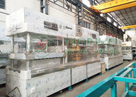 Máquina de fatura de placa de papel descartável biodegradável semi automática da celulose de máquina de molde da celulose