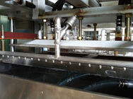 Linha de produção de papel moldada reciprocando automática /1000Pcs/H da bandeja do fruto/bandeja do ovo